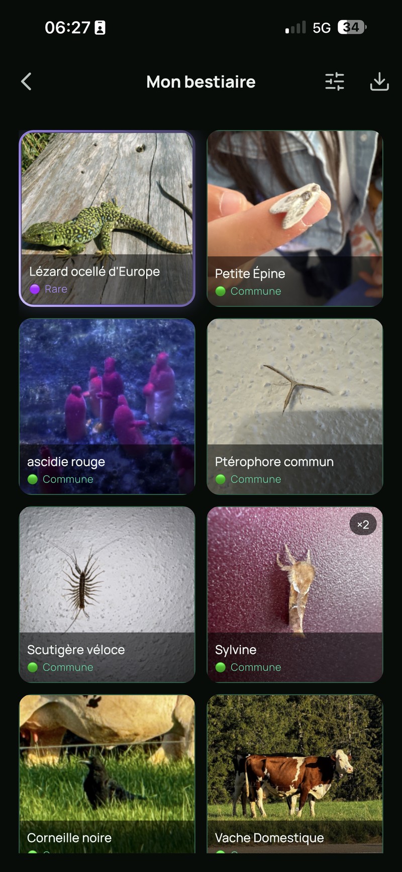 Mon bestiaire : animaux identifiés avec photos et raretés