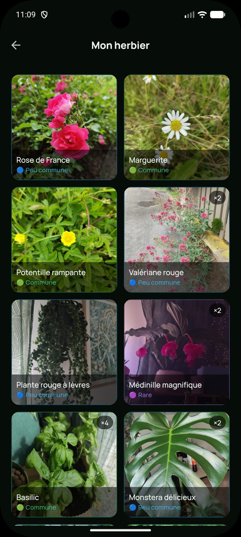 Mon herbier : espèces identifiées avec photos et raretés