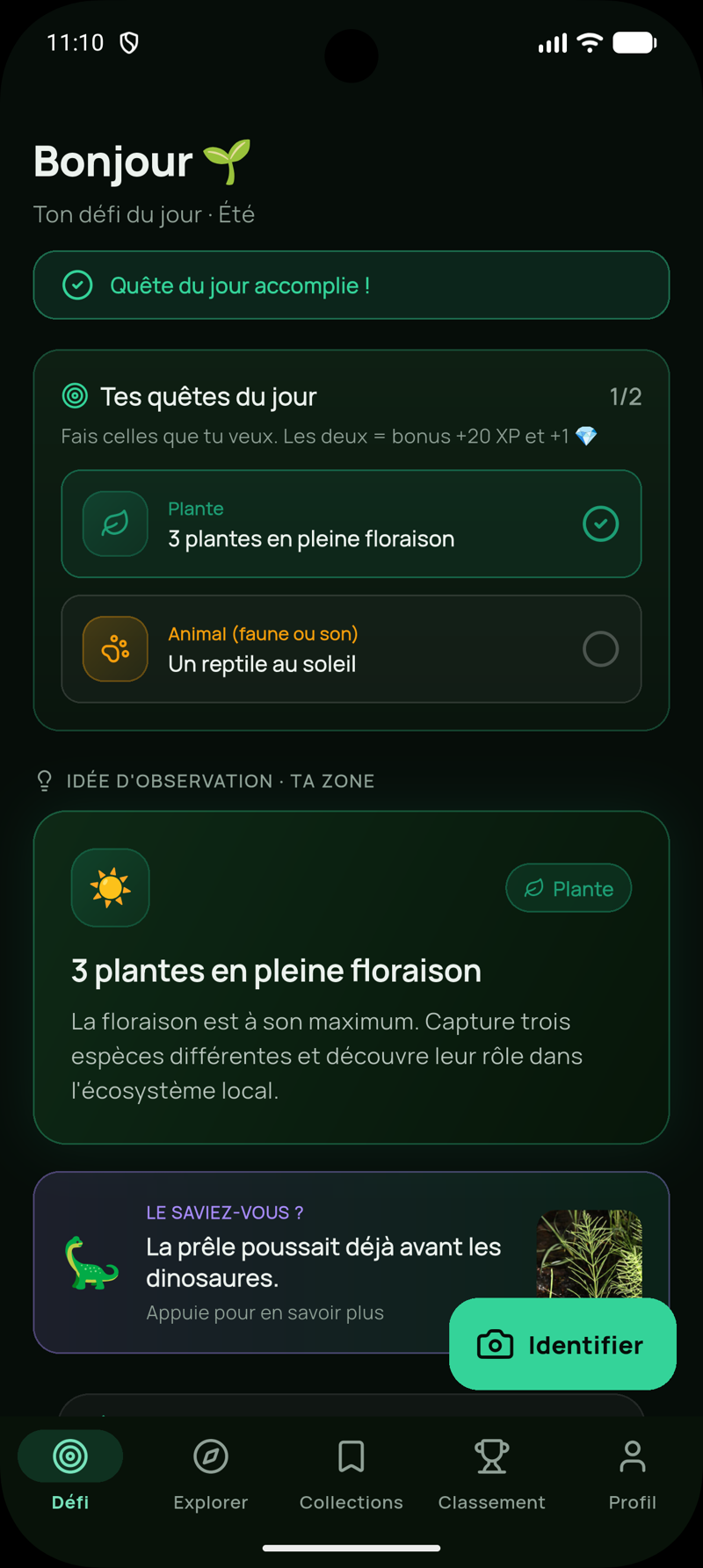 Écran d'accueil de Natura : quêtes du jour et idée d'observation