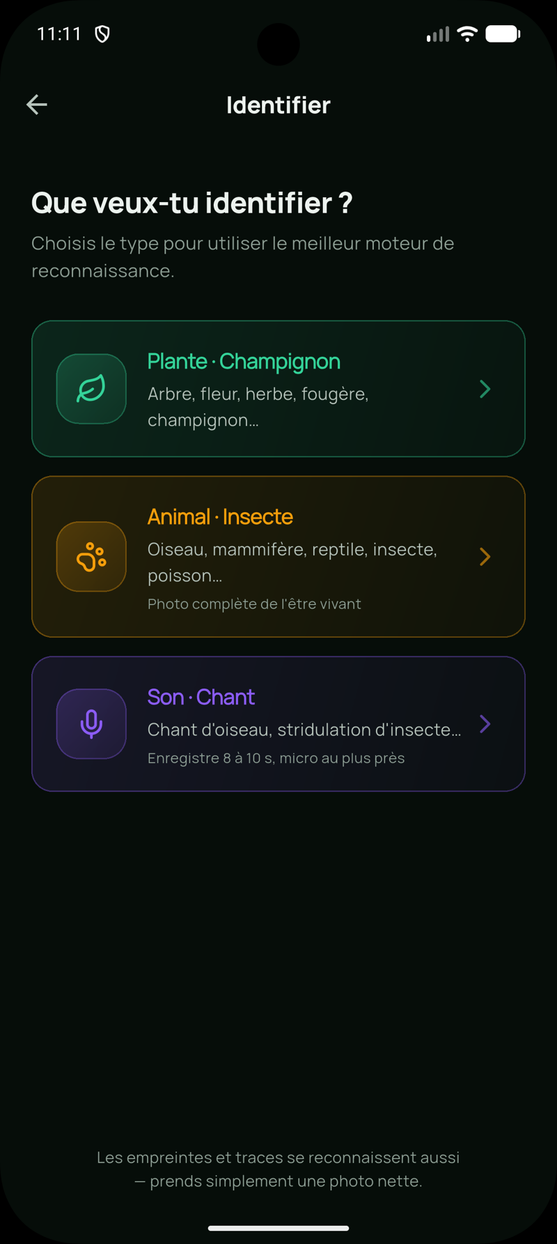 Choix du moteur d'identification : plante, animal ou son